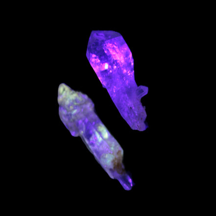 Two Fenster sceptre crystals with bridges, enhydro & hydrocarbons 5.3g in UV light
