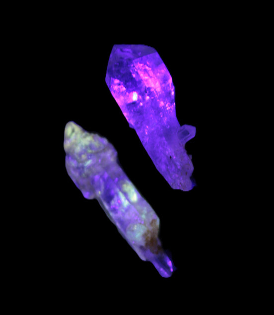 Two Fenster sceptre crystals with bridges, enhydro & hydrocarbons 5.3g in UV light
