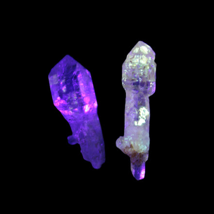 Two Fenster sceptre crystals with bridges, enhydro & hydrocarbons 5.3g in UV light
