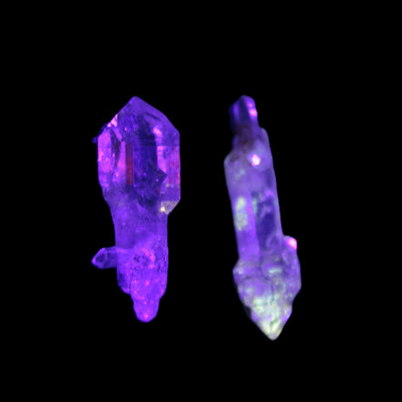 Two Fenster sceptre crystals with bridges, enhydro & hydrocarbons 5.3g in UV light