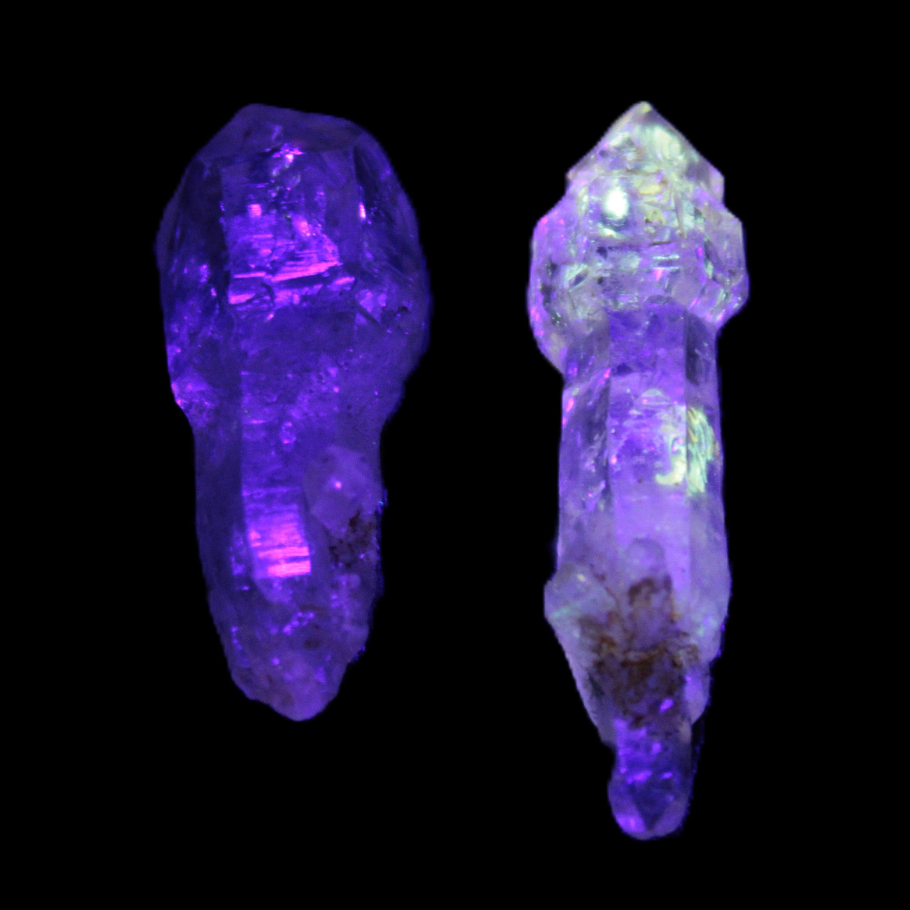Two Fenster sceptre crystals with bridges, enhydro & hydrocarbons 5.3g in UV light