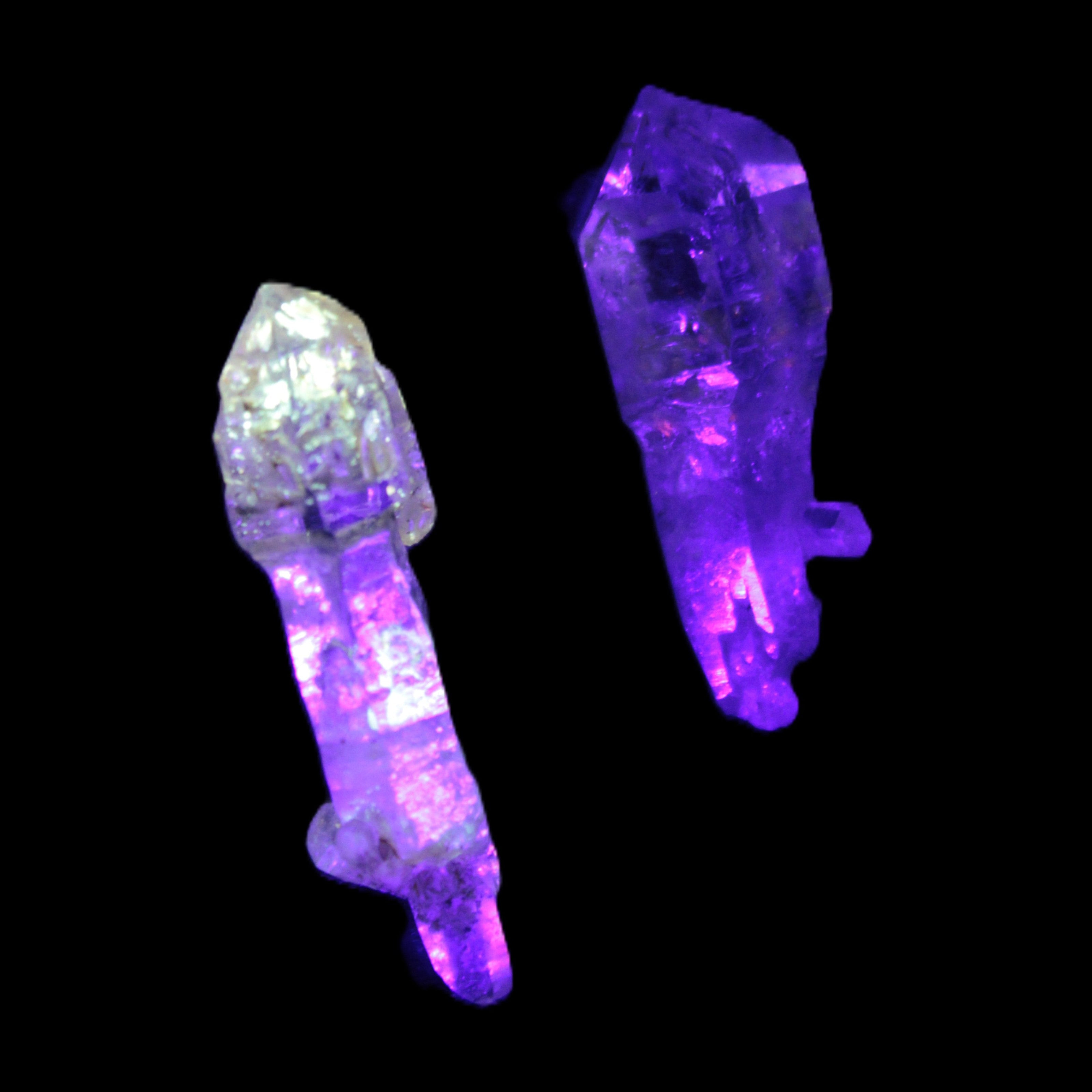 Two Fenster sceptre crystals with bridges, enhydro & hydrocarbons 5.3g in UV light