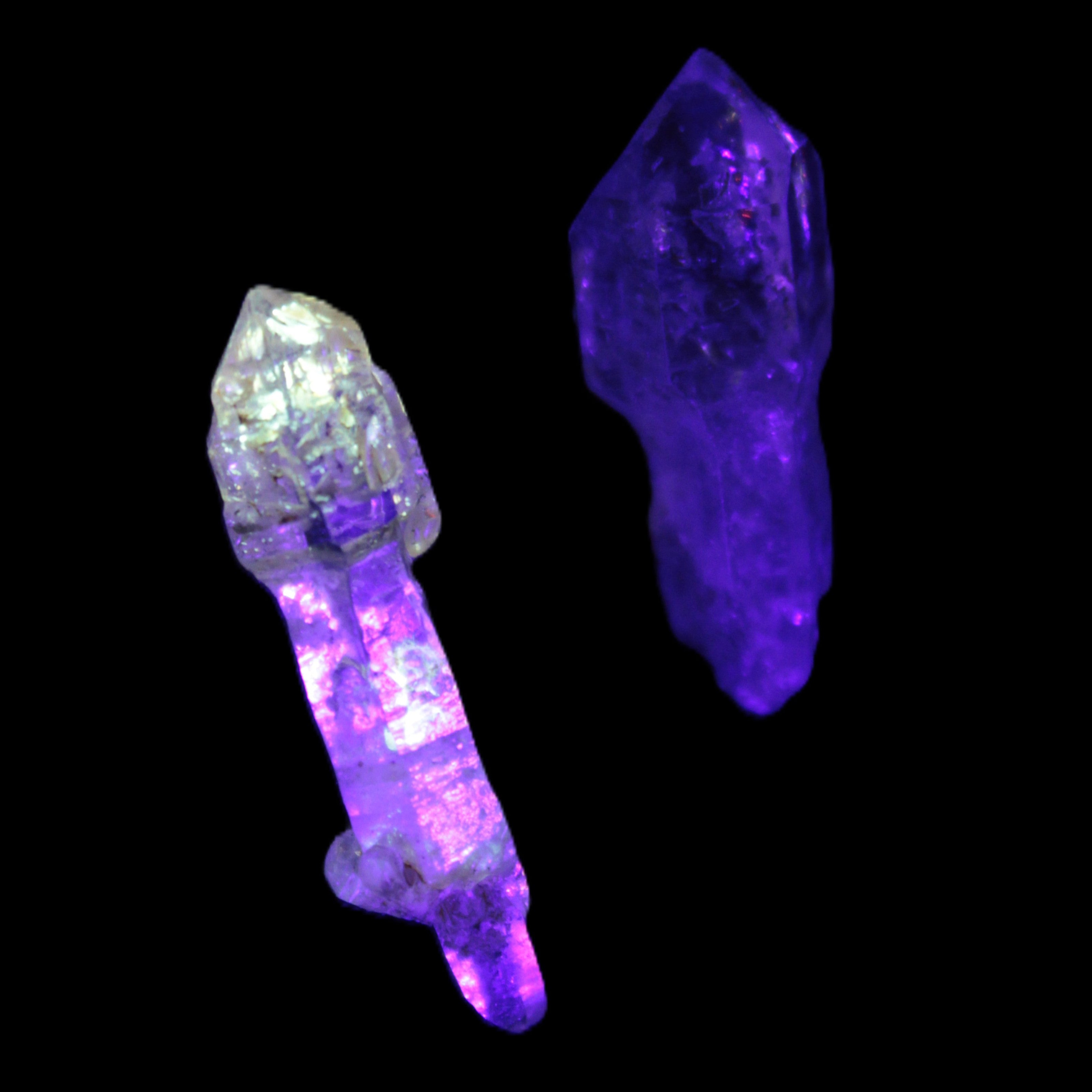 Two Fenster  sceptre crystals with bridges, enhydro & hydrocarbons 5.3g in UV light