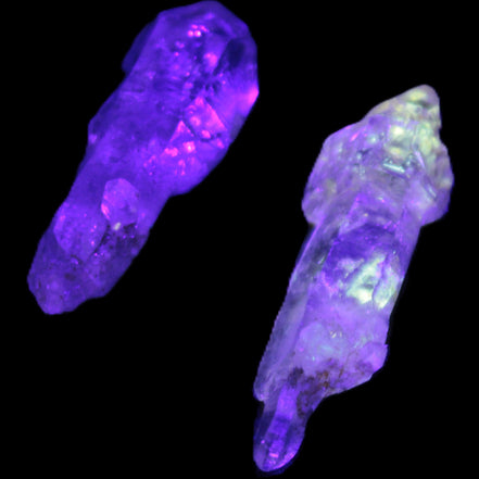 Two Fenster sceptre crystals with bridges, enhydro & hydrocarbons 5.3g in UV light