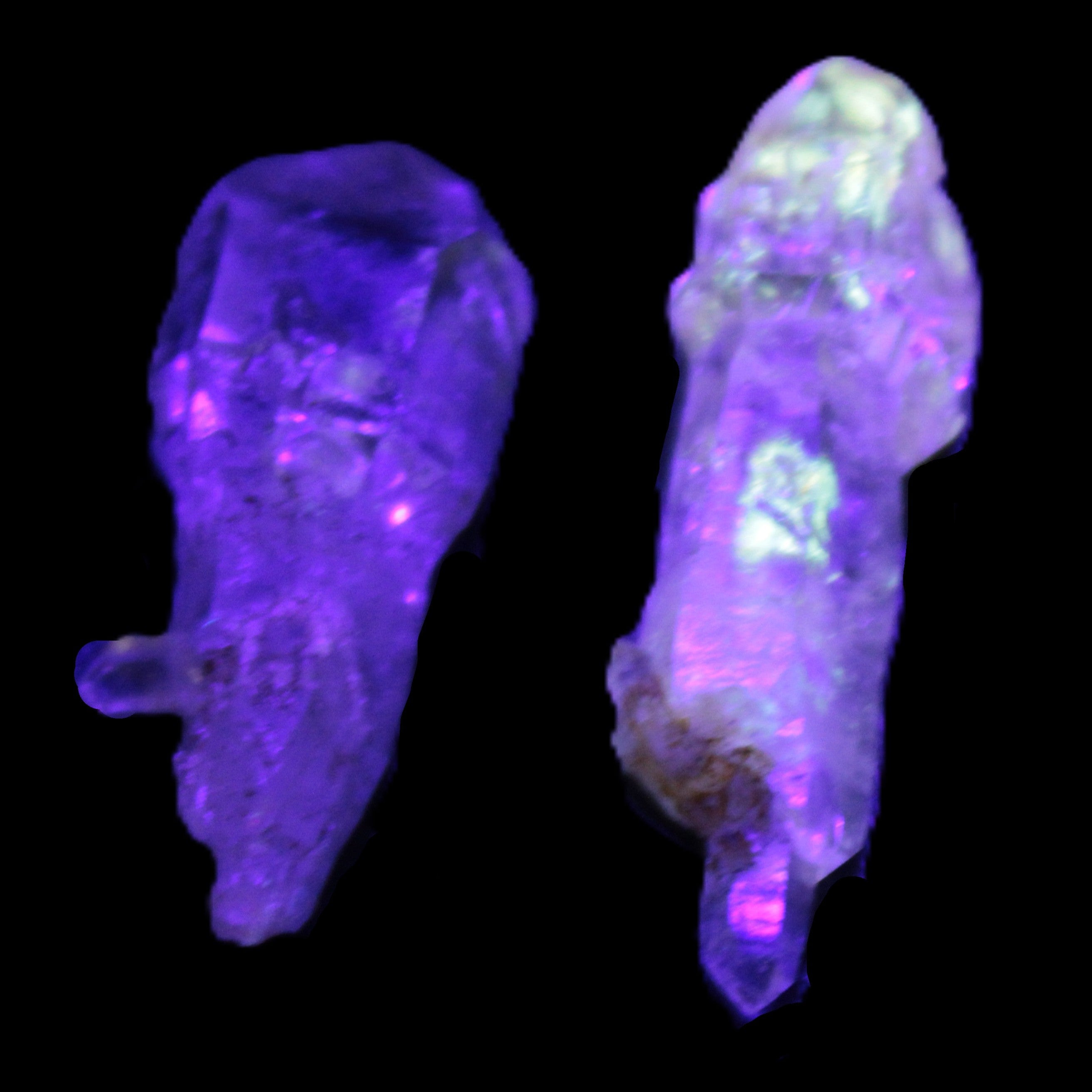 Two Fenster sceptre crystals with bridges, enhydro & hydrocarbons 5.3g in UV light