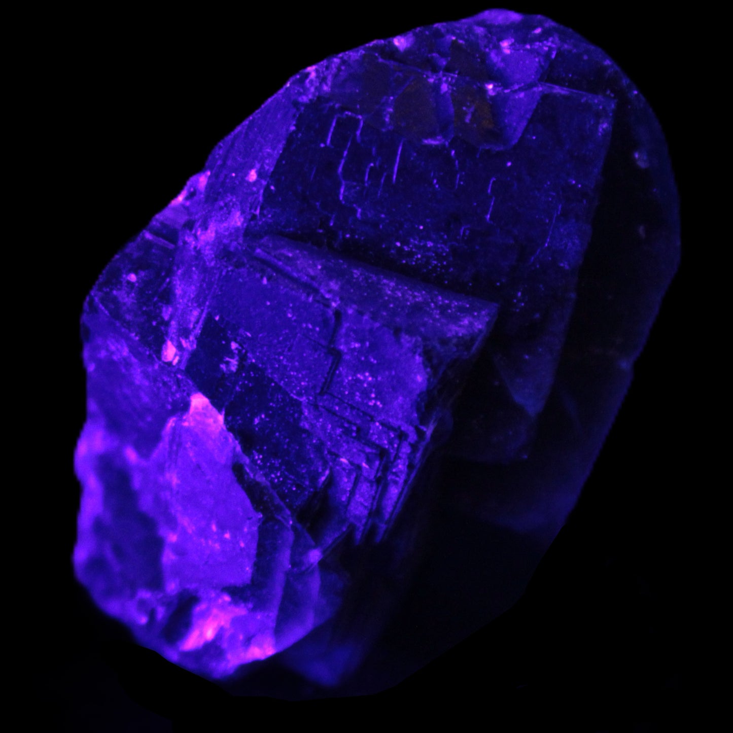 Black Rose UV-reactive Fluorite specimen 18.8g