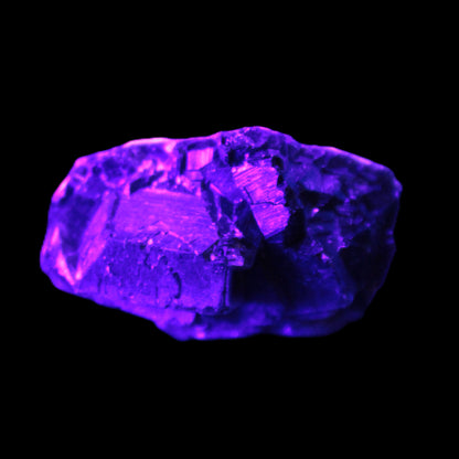 Black Rose UV-reactive Fluorite specimen 18.8g