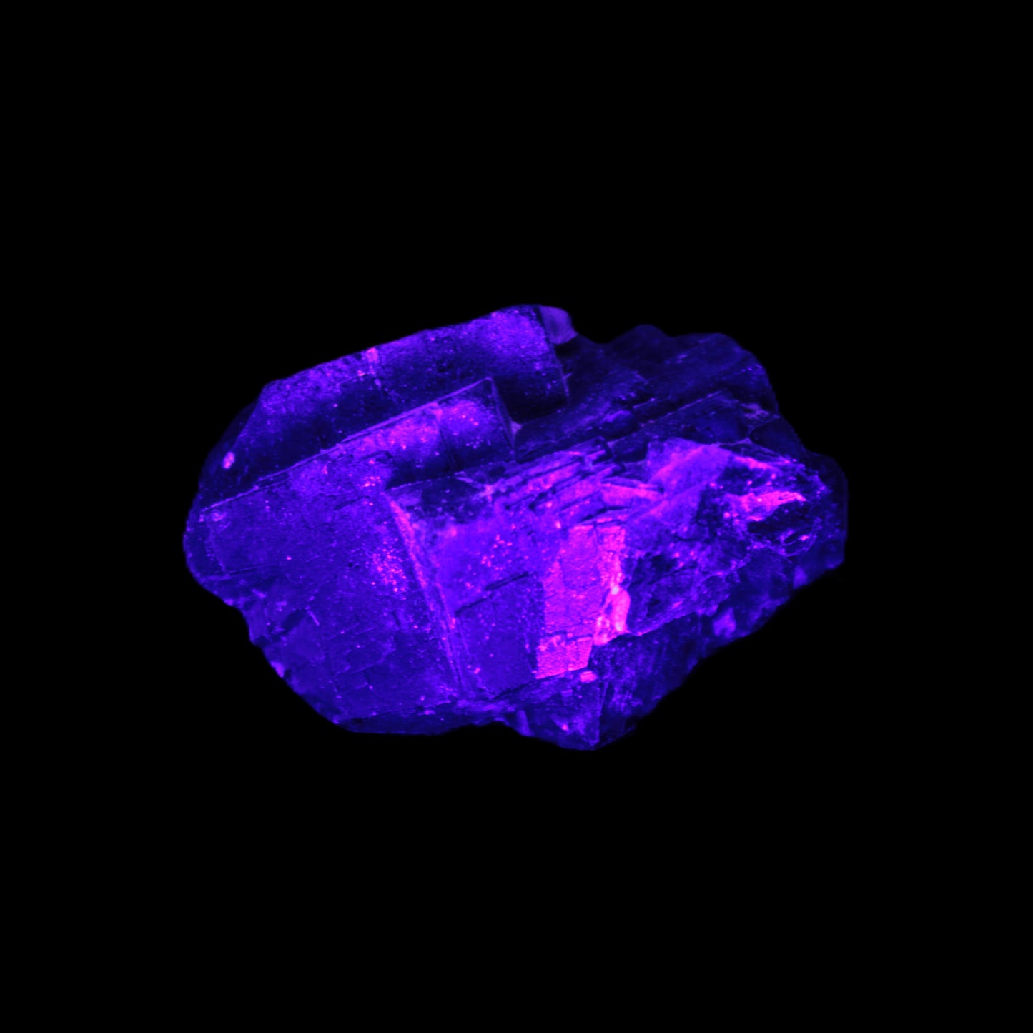 Black Rose UV-reactive Fluorite specimen 18.8g