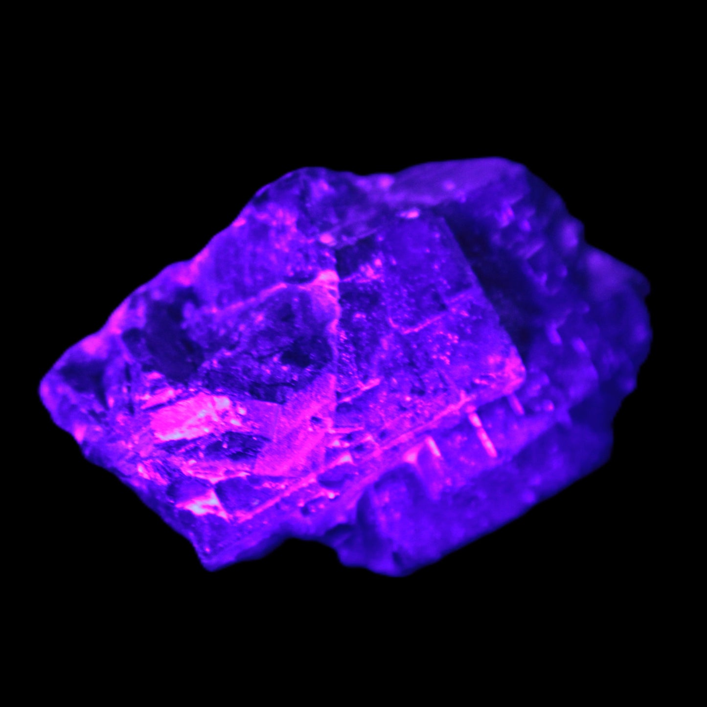 Black Rose UV-reactive Fluorite specimen 18.8g