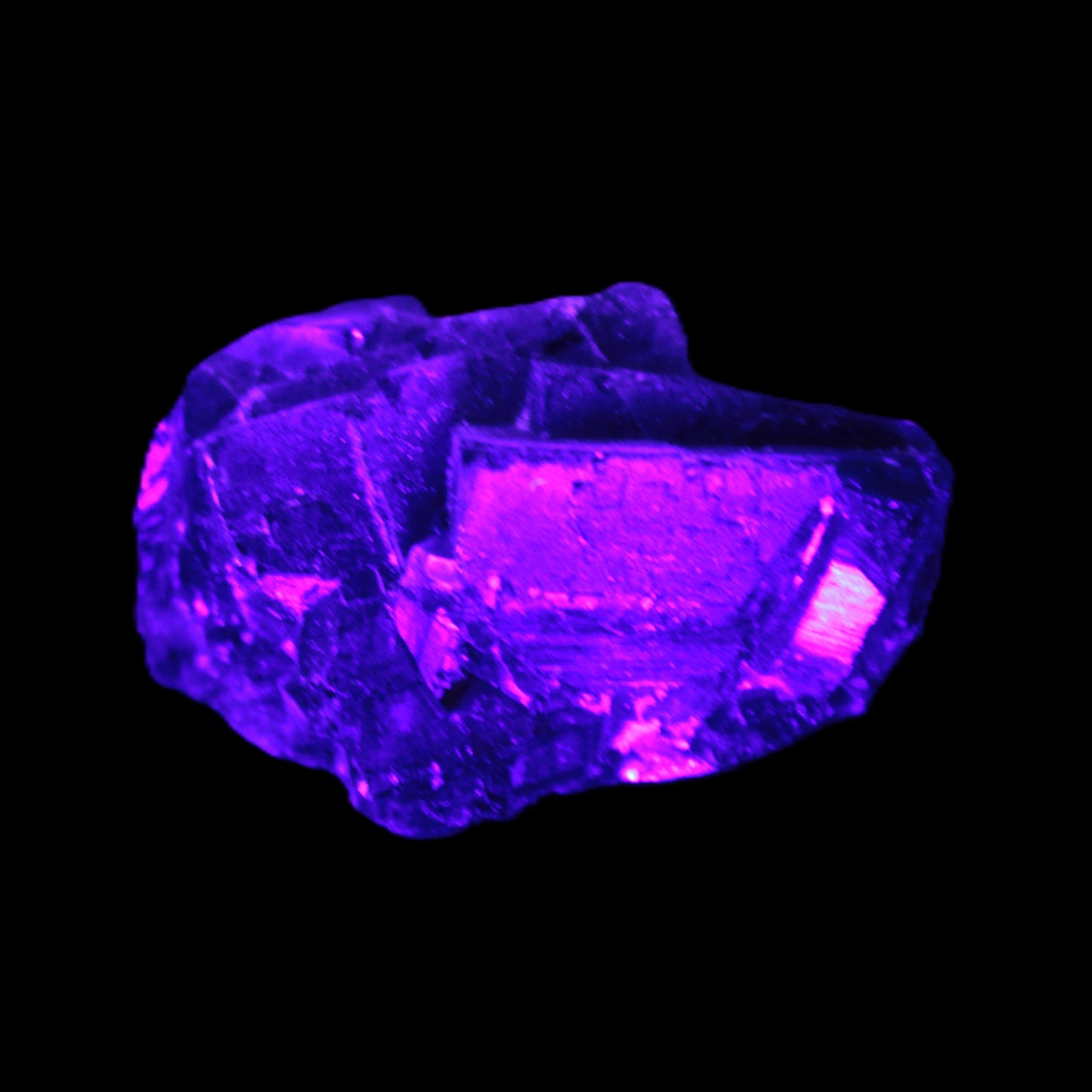 Black Rose UV-reactive Fluorite specimen 18.8g