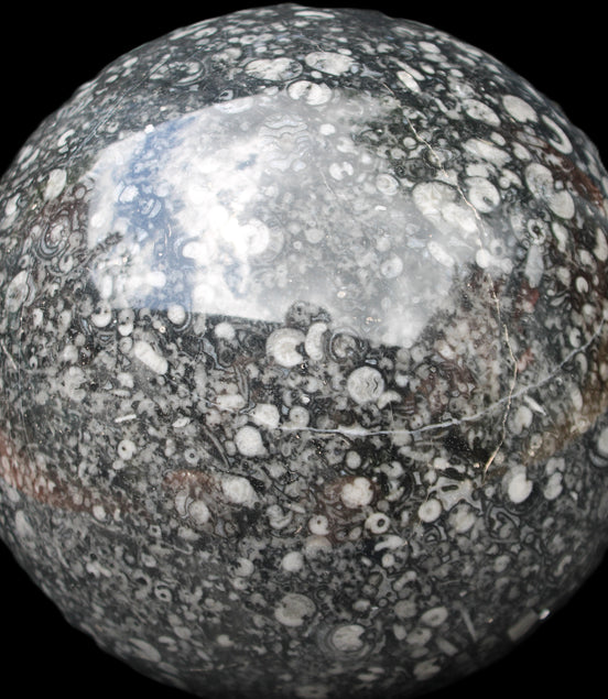 Huge Orthoceras sphere 192mm 10420g Rocks and Things Store