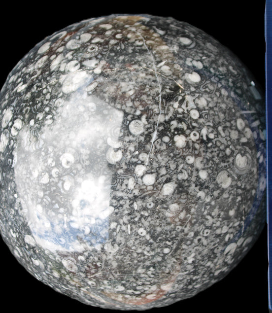 Huge Orthoceras sphere 192mm 10420g Rocks and Things Store