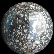 Huge Orthoceras sphere 192mm 10420g Rocks and Things Store