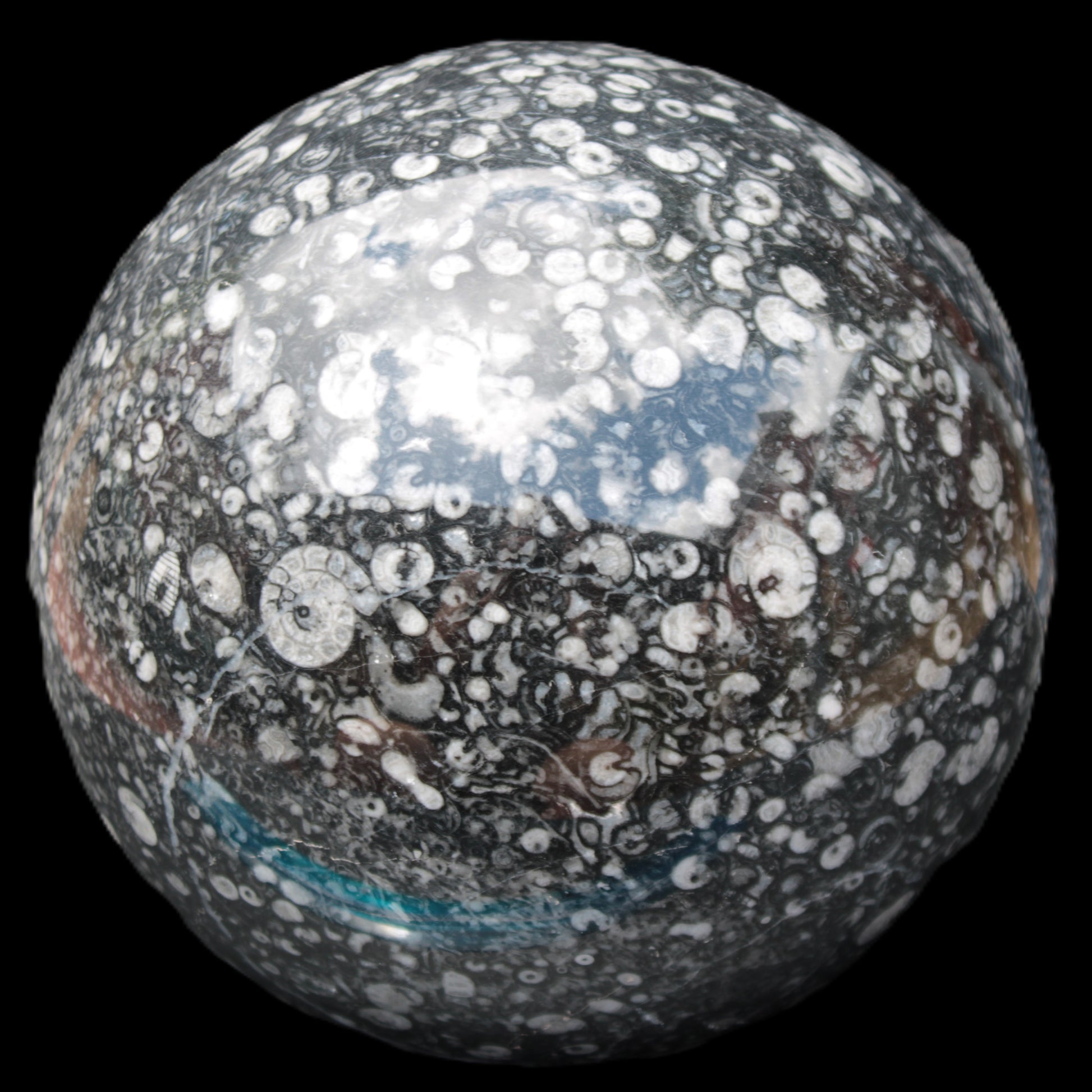 Huge Orthoceras sphere 192mm 10420g Rocks and Things Store