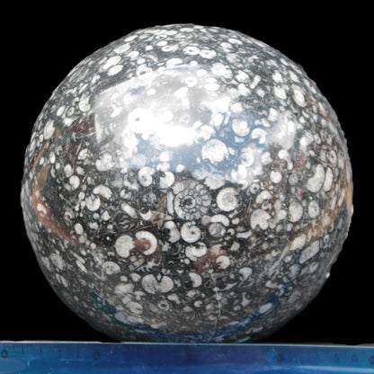 Huge Orthoceras sphere 192mm 10420g Rocks and Things Store