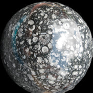 Huge Orthoceras sphere 192mm 10420g Rocks and Things Store