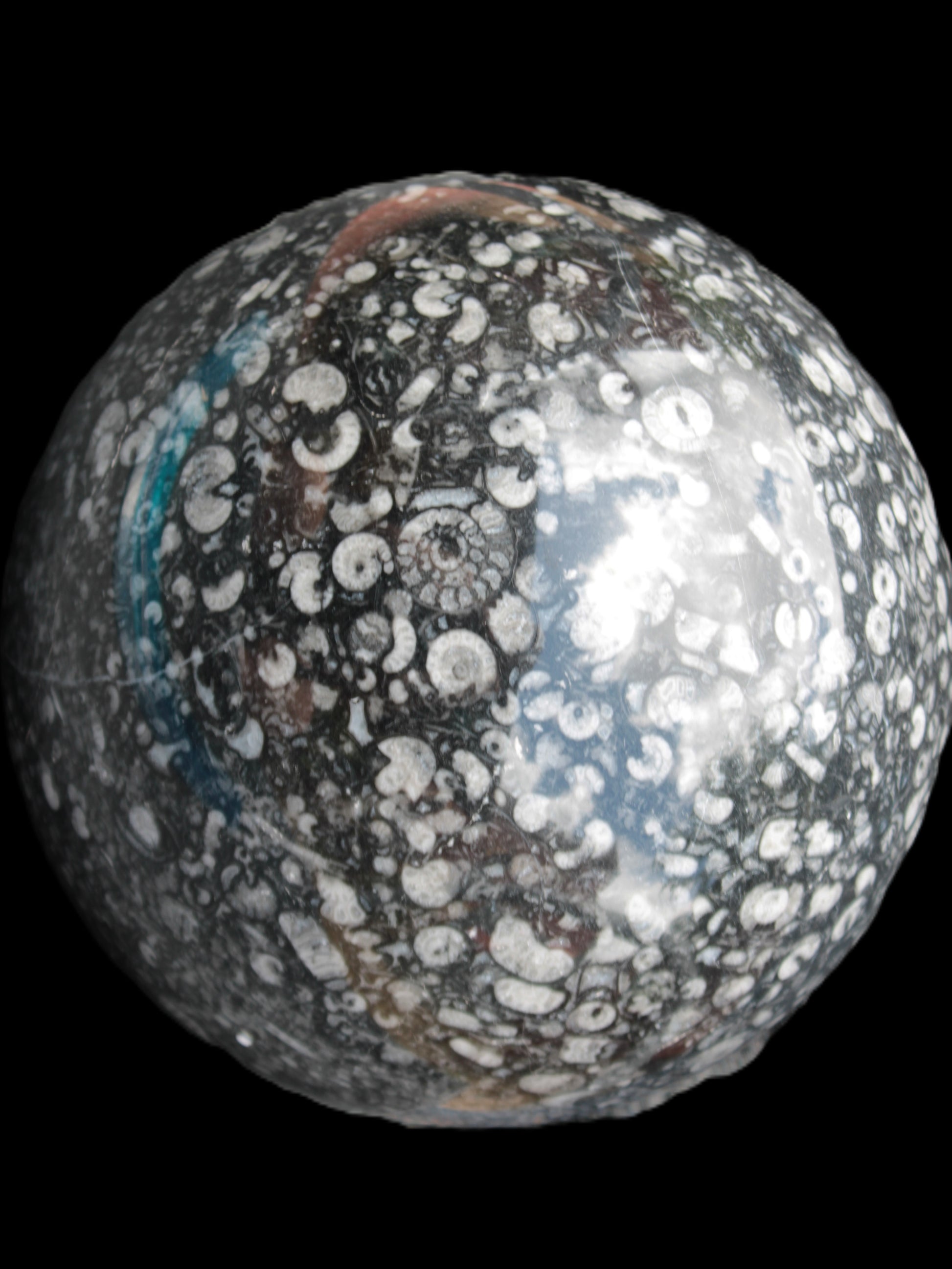 Huge Orthoceras sphere 192mm 10420g Rocks and Things Store