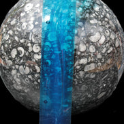 Huge Orthoceras sphere 192mm 10420g Rocks and Things Store