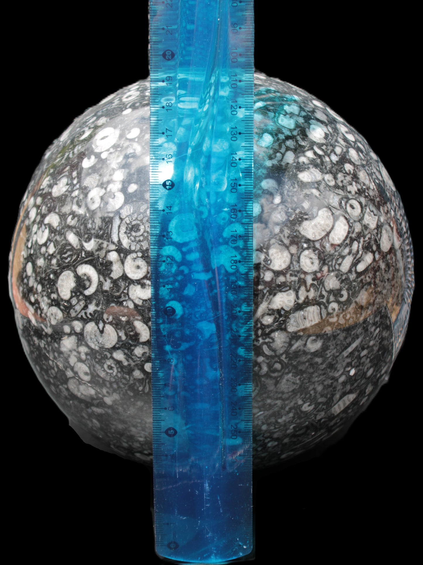 Huge Orthoceras sphere 192mm 10420g Rocks and Things Store