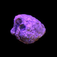 Gobi Agate Eyes specimen from Mongolia 42.35*30mm 36.7g in UV light