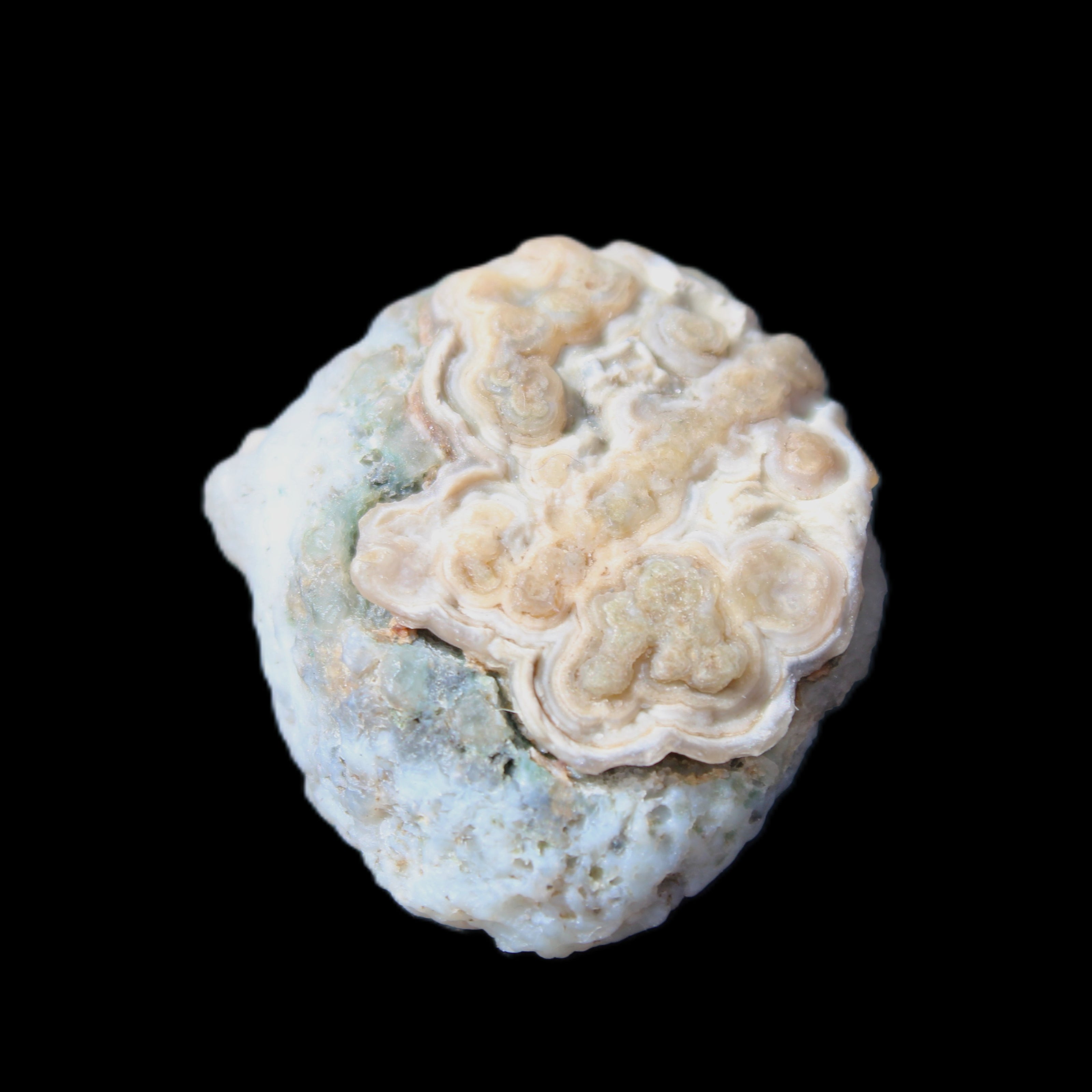 Gobi Agate Eyes specimen from Mongolia 42.35*30mm 36.7g in sunlight - Rocks and Things Store