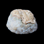 Gobi Agate Eyes specimen from Mongolia 42.35*30mm 36.7g in sunlight - Rocks and Things Store