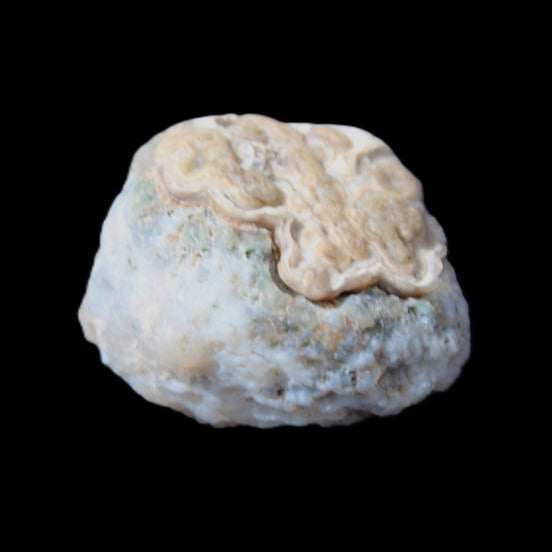 Gobi Agate Eyes specimen from Mongolia 42.35*30mm 36.7g in sunlight - Rocks and Things Store