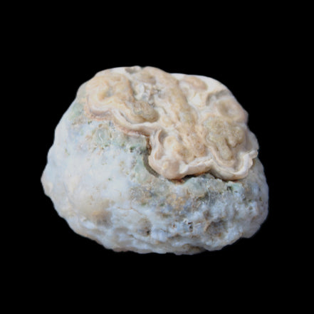 Gobi Agate Eyes specimen from Mongolia 42.35*30mm 36.7g in sunlight - Rocks and Things Store