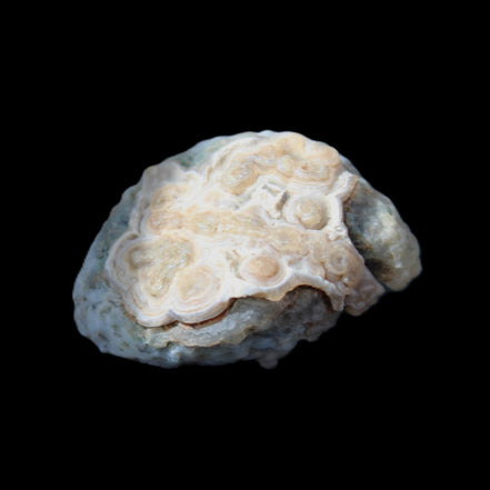 Gobi Agate Eyes specimen from Mongolia 42.35*30mm 36.7g in sunlight - Rocks and Things Store