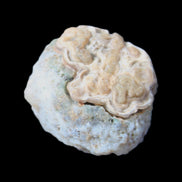 Gobi Agate Eyes specimen from Mongolia 42.35*30mm 36.7g in sunlight - Rocks and Things Store