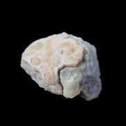 Gobi Agate Eyes specimen from Mongolia 42.35*30mm 36.7g in sunlight - Rocks and Things Store