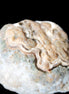 Gobi Agate Eyes specimen from Mongolia 42.35*30mm 36.7g