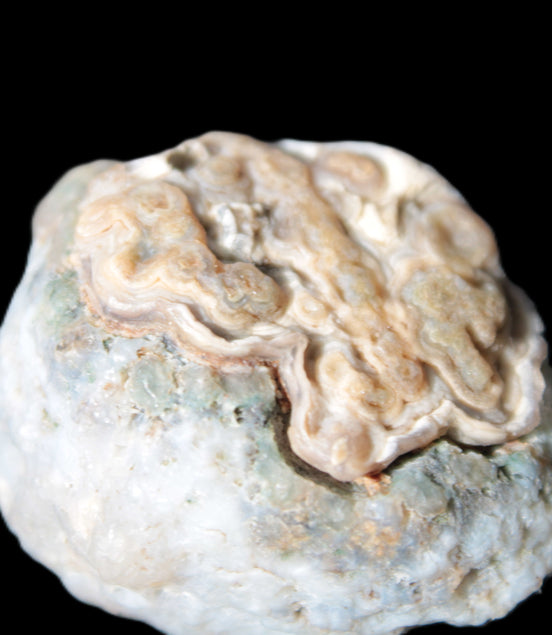 Gobi Agate Eyes specimen from Mongolia 42.35*30mm 36.7g