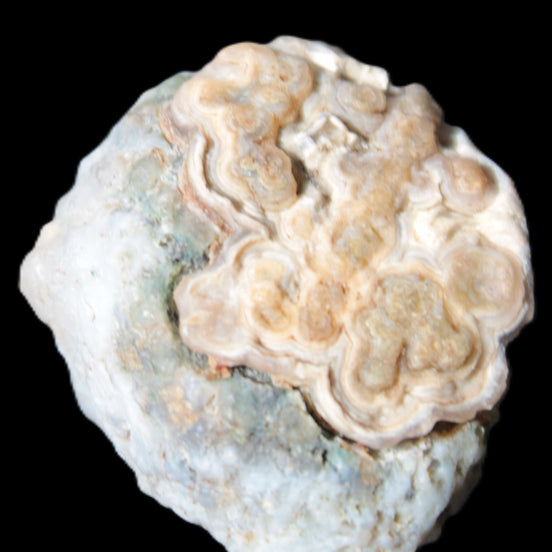 Gobi Agate Eyes specimen from Mongolia 42.35*30mm 36.7g in sunlight - Rocks and Things Store