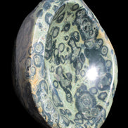 Kambaba Jasper bowl 187*56/66mm 2960g Rocks and Things Store
