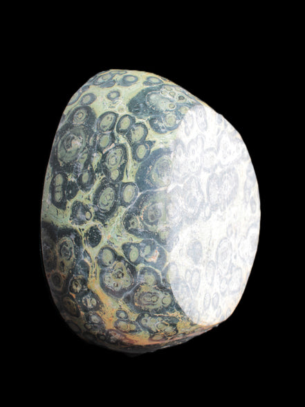 Kambaba Jasper bowl 187*56/66mm 2960g Rocks and Things Store