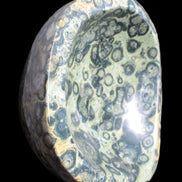 Kambaba Jasper bowl 187*56/66mm 2960g Rocks and Things Store