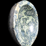 Kambaba Jasper bowl 187*56/66mm 2960g Rocks and Things Store