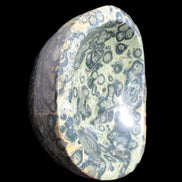 Kambaba Jasper bowl 187*56/66mm 2960g Rocks and Things Store
