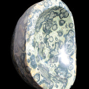 Kambaba Jasper bowl 187*56/66mm 2960g Rocks and Things Store
