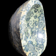 Kambaba Jasper bowl 187*56/66mm 2960g Rocks and Things Store