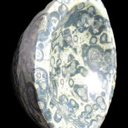 Kambaba Jasper bowl 187*56/66mm 2960g Rocks and Things Store