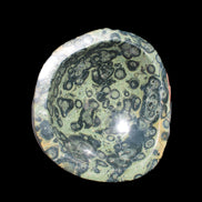 Kambaba Jasper bowl 187*56/66mm 2960g Rocks and Things Store