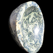 Kambaba Jasper bowl 187*56/66mm 2960g Rocks and Things Store