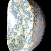 Kambaba Jasper bowl 187*56/66mm 2960g Rocks and Things Store