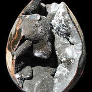 Stunning Septarian Dragon Stone cathedral geode 220*168*146mm 7980g Rocks and Things Store