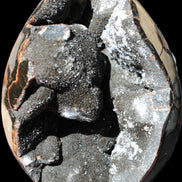 Stunning Septarian Dragon Stone cathedral geode 220*168*146mm 7980g Rocks and Things Store