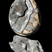 Stunning Septarian Dragon Stone cathedral geode 220*168*146mm 7980g Rocks and Things Store