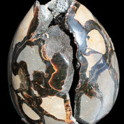 Stunning Septarian Dragon Stone cathedral geode 220*168*146mm 7980g Rocks and Things Store