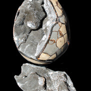 Stunning Septarian Dragon Stone cathedral geode 220*168*146mm 7980g Rocks and Things Store